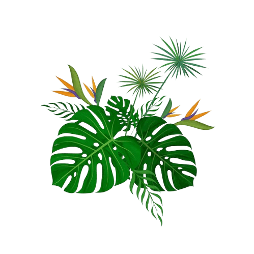 DIV